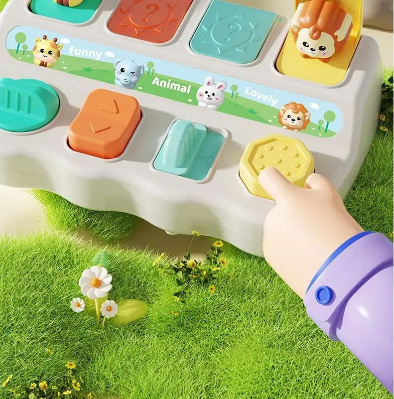 Montessori Pop up Animal Toys and Learning Boxes - Enhance Logic and