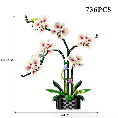 Creative Orchid Cymbidium Eternal Flowers Potted Plant Building Blocks