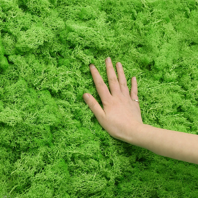 20/40g Artificial Green Plants Eternal Life Moss DIY Crafts Grass Home