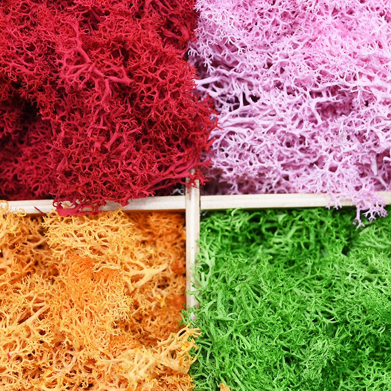 20/40g Artificial Green Plants Eternal Life Moss DIY Crafts Grass Home
