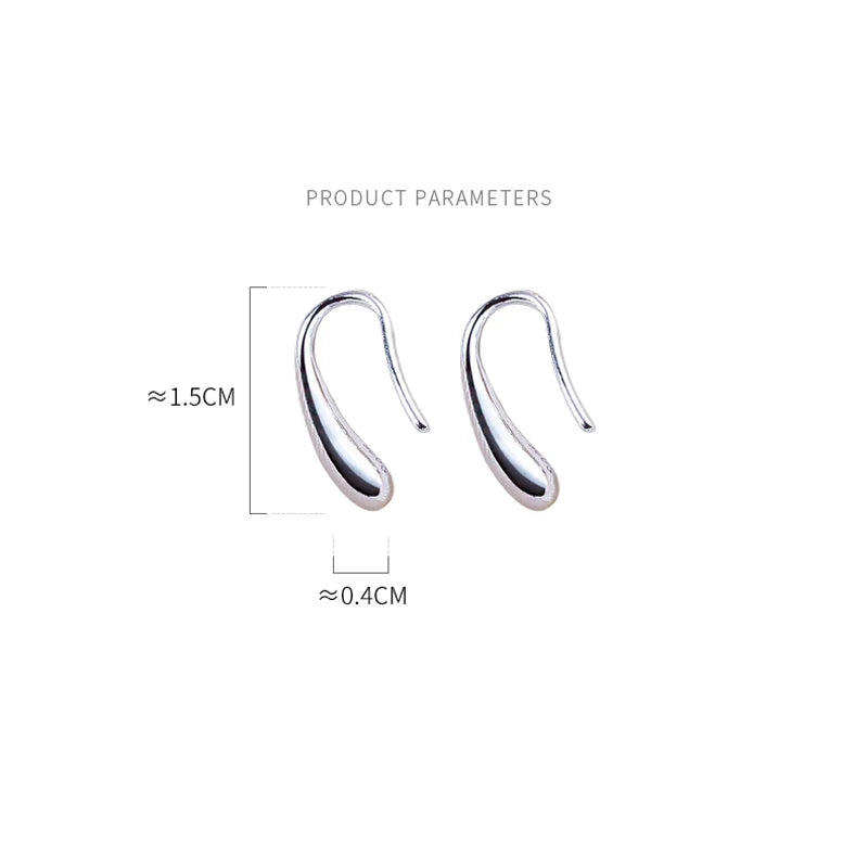 925 Sterling Silver Water Drop Shape Earrings for Women  Simple