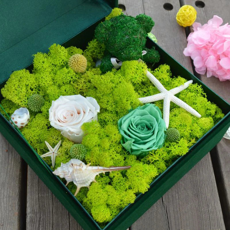 20/40g Artificial Green Plants Eternal Life Moss DIY Crafts Grass Home