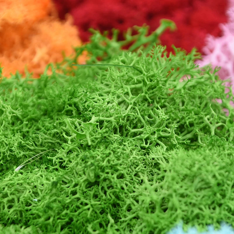 20/40g Artificial Green Plants Eternal Life Moss DIY Crafts Grass Home