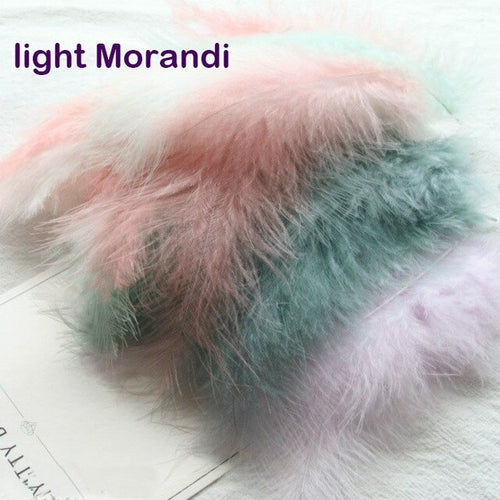 Natural Turkey Feathers Plumes 4-6 Inches10-15cm Multicolor Chicken