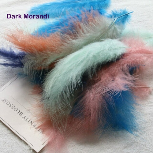 Natural Turkey Feathers Plumes 4-6 Inches10-15cm Multicolor Chicken