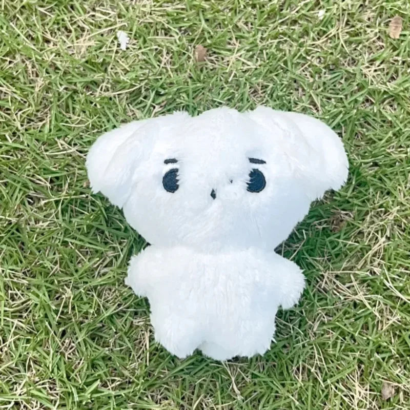 Kpop Plush JUNGWON HEESEUNG JAY JAKE SUNGHOON Stuffed Toys Keyring