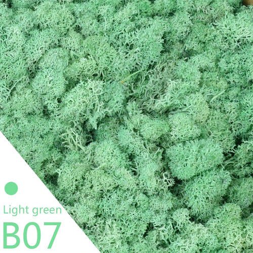 20/40g Artificial Green Plants Eternal Life Moss DIY Crafts Grass Home