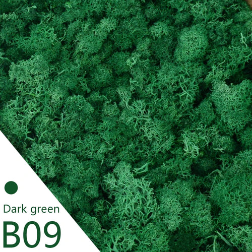 20/40g Artificial Green Plants Eternal Life Moss DIY Crafts Grass Home