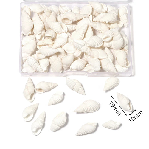 1 Box Sea Shells Spiral Shell Tiny Ocean Spiral Seashells Crafts