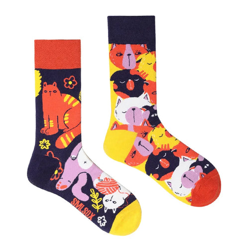 1 Pair Man Women Sock Original AB Tide Socks Colorful Cat Dog Koala