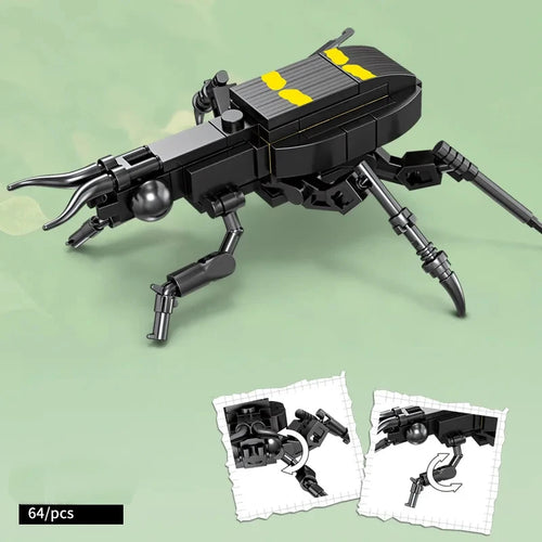City Creativity Animal Insect Bees Dragonflies Ants Mantis Ladybugs