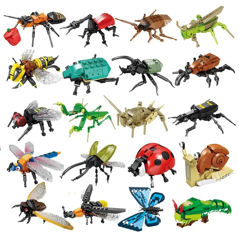 City Creativity Animal Insect Bees Dragonflies Ants Mantis Ladybugs