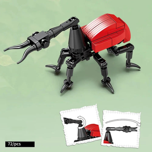 City Creativity Animal Insect Bees Dragonflies Ants Mantis Ladybugs