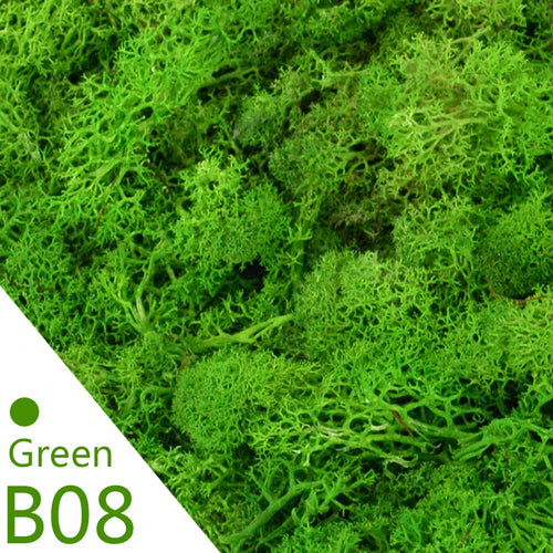 20/40g Artificial Green Plants Eternal Life Moss DIY Crafts Grass Home