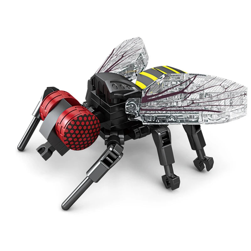 City Creativity Animal Insect Bees Dragonflies Ants Mantis Ladybugs