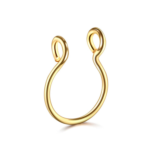 5pcs Stainless Steel Magnet Fake Nose Ring Hoop Fake Piercing Hoop