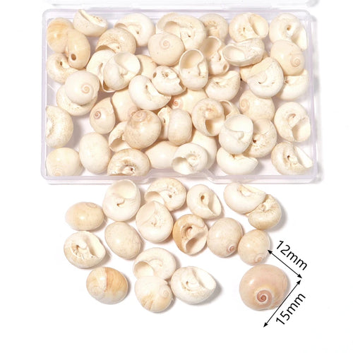 1 Box Sea Shells Spiral Shell Tiny Ocean Spiral Seashells Crafts