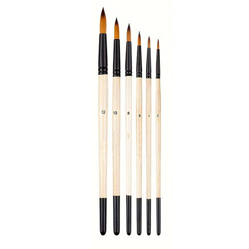 6pcs Artist Paint Brushes Set Artist Paintbrushes For Acrylic Oil