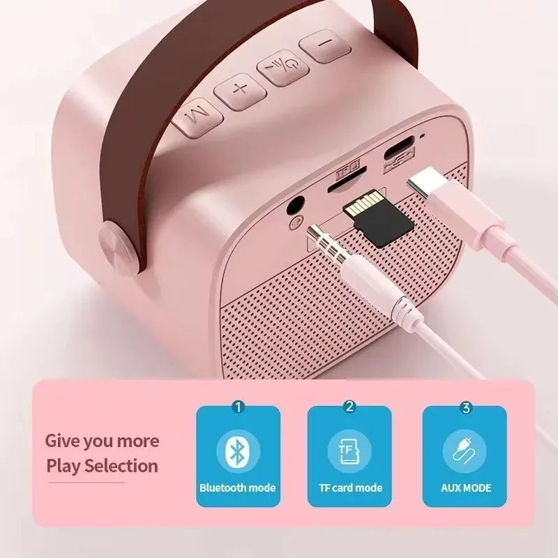 Portable Wireless Dual Microphones Karaoke Machine HomeKTV DSP System