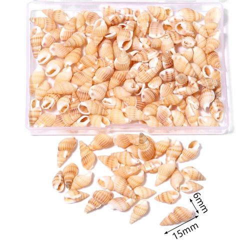 1 Box Sea Shells Spiral Shell Tiny Ocean Spiral Seashells Crafts