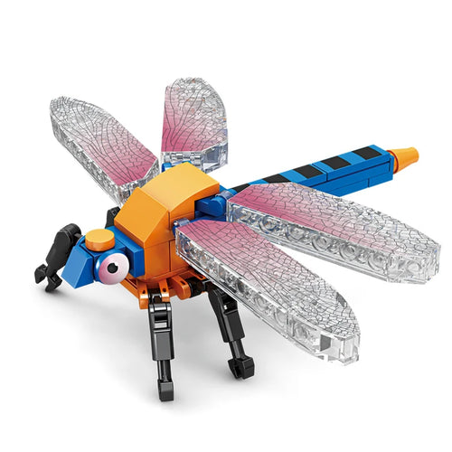 City Creativity Animal Insect Bees Dragonflies Ants Mantis Ladybugs