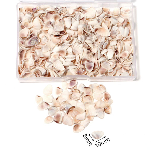1 Box Sea Shells Spiral Shell Tiny Ocean Spiral Seashells Crafts