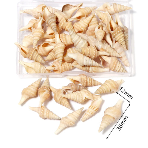 1 Box Sea Shells Spiral Shell Tiny Ocean Spiral Seashells Crafts