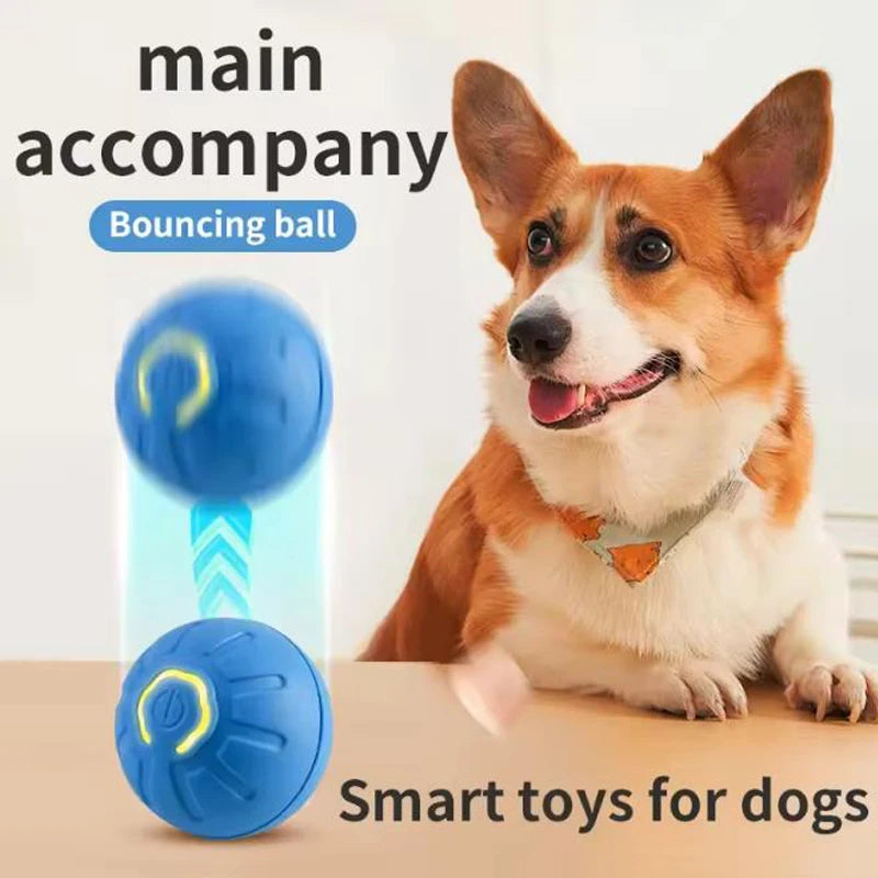 Hot Intelligent pet toy ball electronic pet interactive toy moving