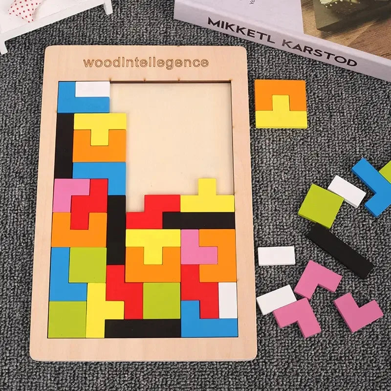 Montessori Wooden Puzzle Toy, Brain Teaser Logic Game for Kids, Early