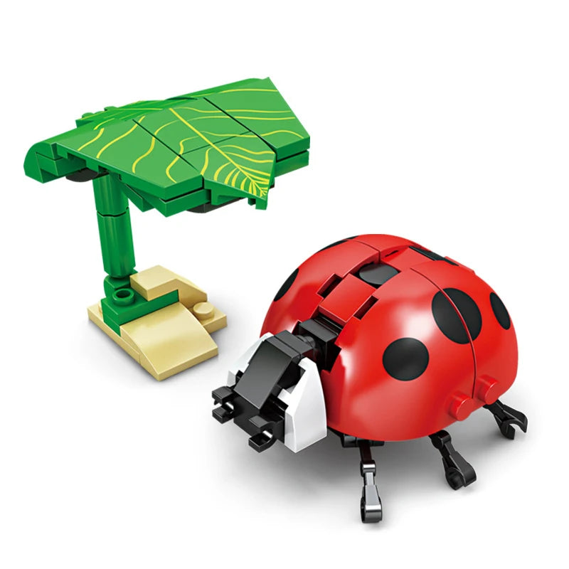 City Creativity Animal Insect Bees Dragonflies Ants Mantis Ladybugs
