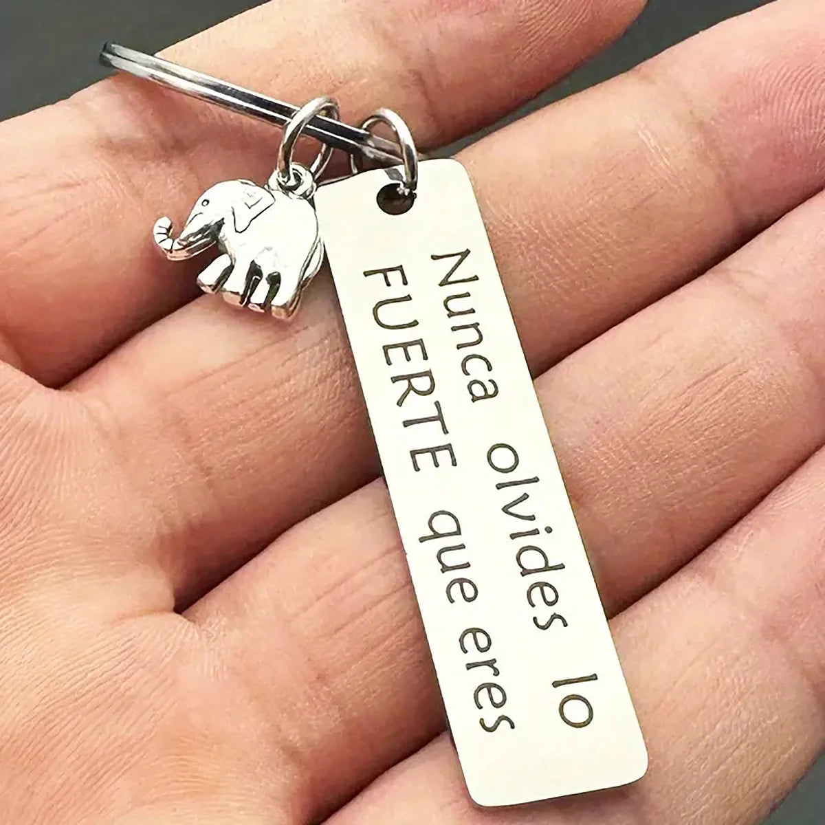 Inspirational Positive Energy Elephant Powdered Elephant Stainless