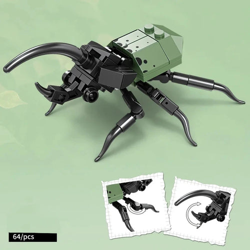 City Creativity Animal Insect Bees Dragonflies Ants Mantis Ladybugs