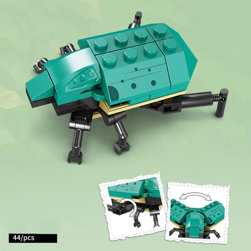 City Creativity Animal Insect Bees Dragonflies Ants Mantis Ladybugs