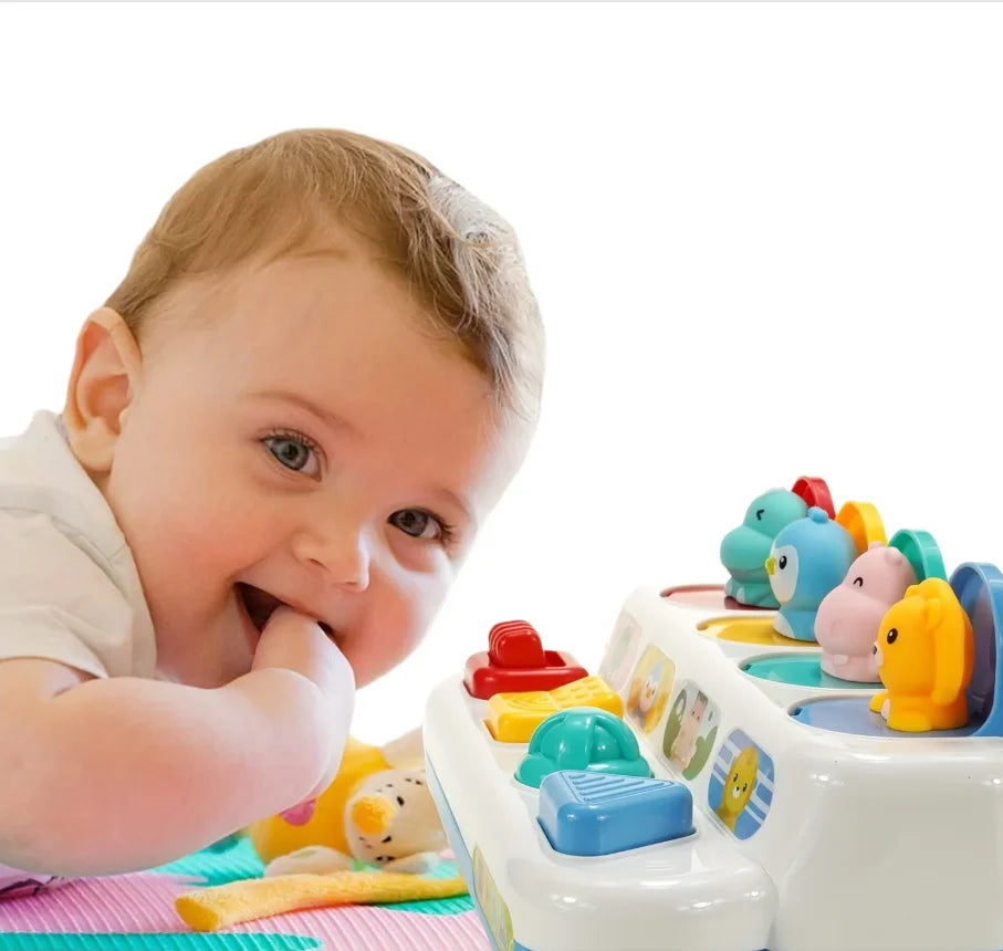 Montessori Pop up Animal Toys and Learning Boxes - Enhance Logic and