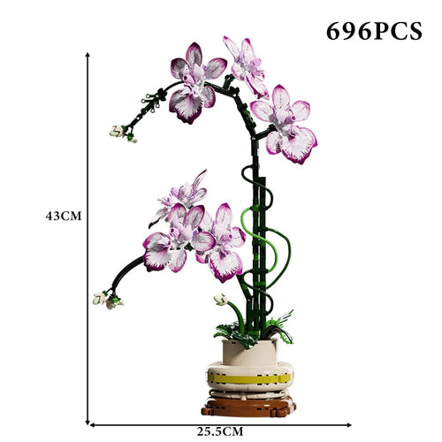 Creative Orchid Cymbidium Eternal Flowers Potted Plant Building Blocks