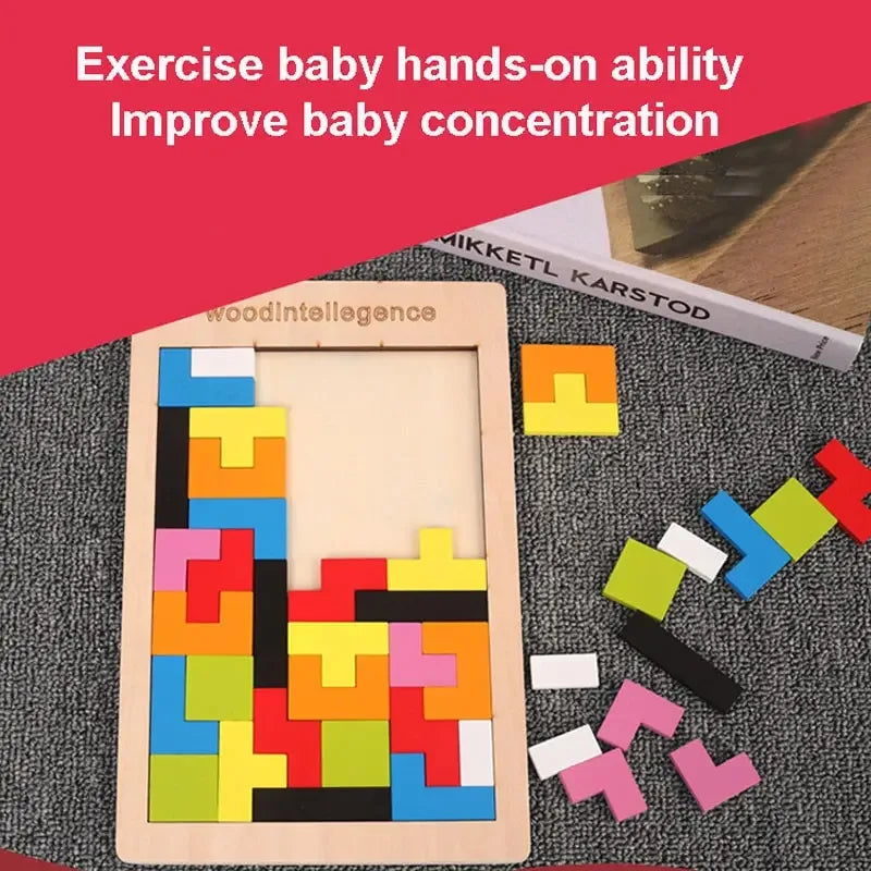 Montessori Wooden Puzzle Toy, Brain Teaser Logic Game for Kids, Early