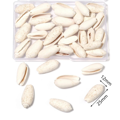 1 Box Sea Shells Spiral Shell Tiny Ocean Spiral Seashells Crafts