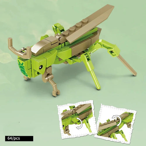 City Creativity Animal Insect Bees Dragonflies Ants Mantis Ladybugs