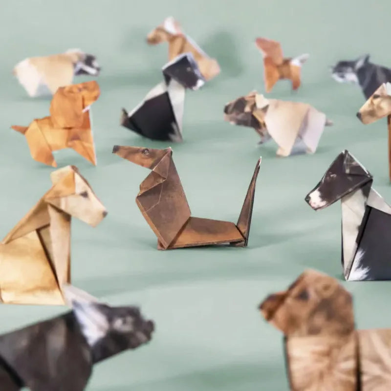 Creative DIY Paper Cats Handmade Origami Fun for Every Cat/Dog