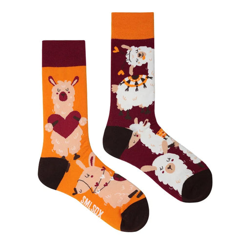 1 Pair Man Women Sock Original AB Tide Socks Colorful Cat Dog Koala