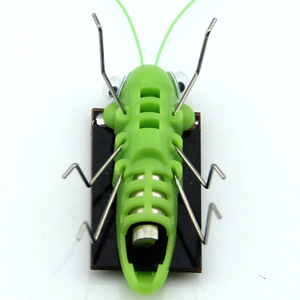 Solar Grasshopper Toy Puzzle Children Selected Gift Simulation Insect